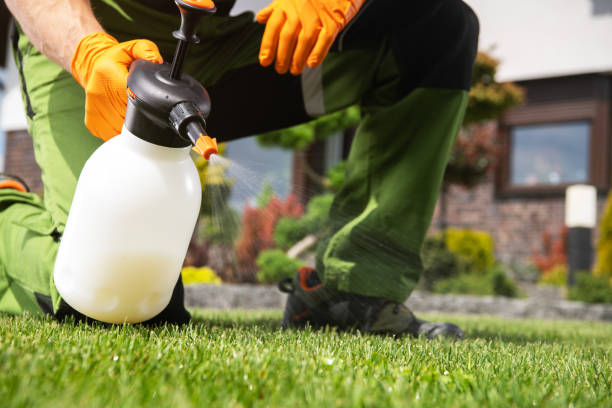 Pest Prevention Services in Rice, MN