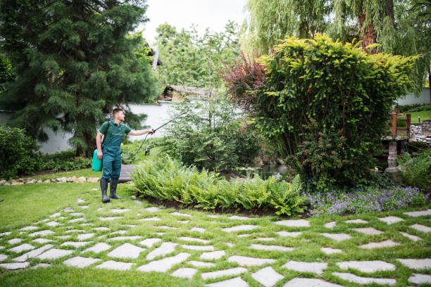 Best Cockroach Control Services  in Rice, MN