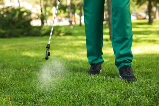 Best Mosquito Control Services  in Rice, MN