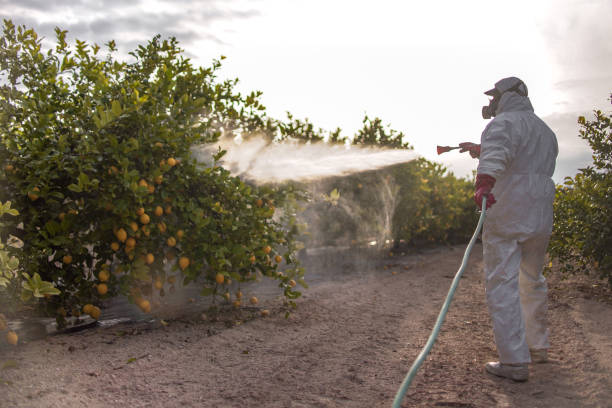 Best Pest Control Near Me  in Rice, MN