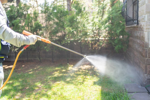 Best Emergency Pest Control  in Rice, MN