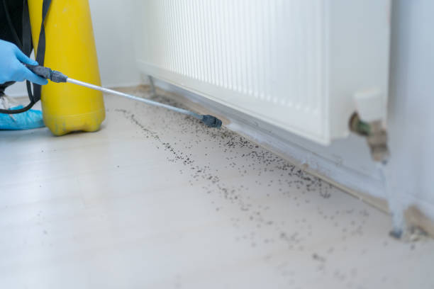 Best Affordable Pest Control Services  in Rice, MN