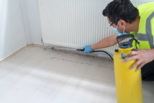 Best Best Pest Control Companies  in Rice, MN