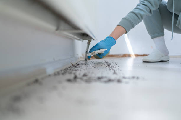 Best Pest Control Near Me in Rice, MN