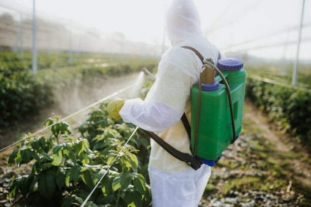 Best Ant Control Services  in Rice, MN